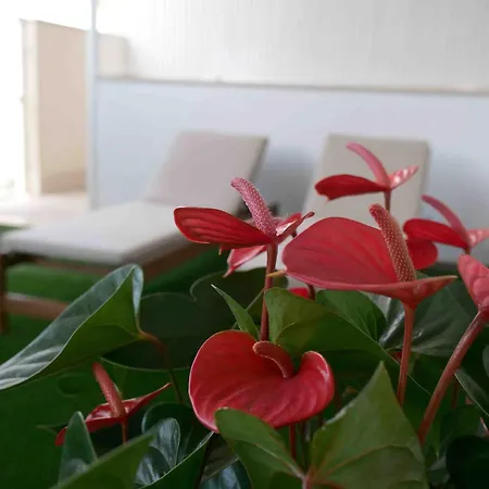 Dalia & Relax Guest house Polignano a Mare